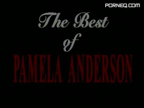 A Celebration Of Pamela Anderson - new.porneq.com on delporno.com
